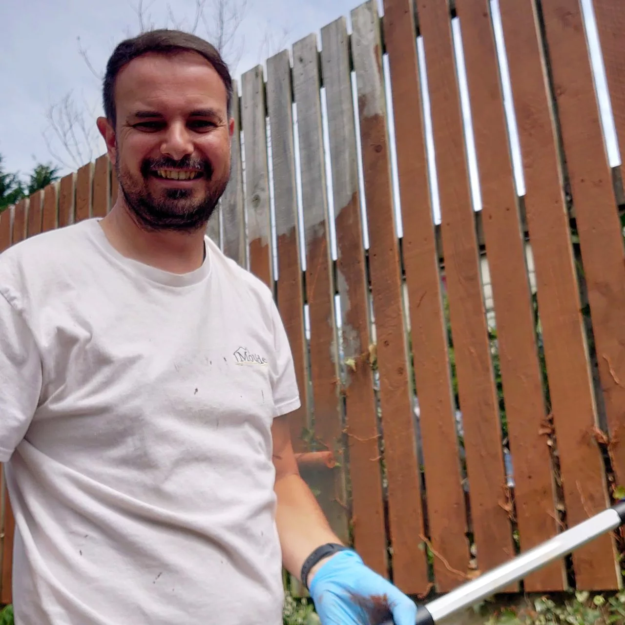 CC fence painting