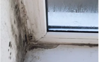 Managing Mould in Social Housing: Essential Guidance for Housing Providers and Tenants